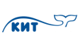 Кит